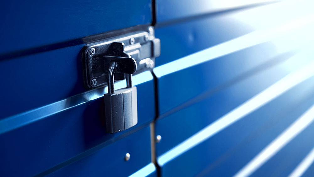 FORTLOX Padlock an Container