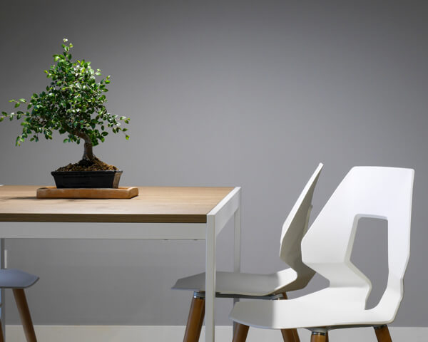 Moodbild Tisch, zwei Stühle & Bonsai