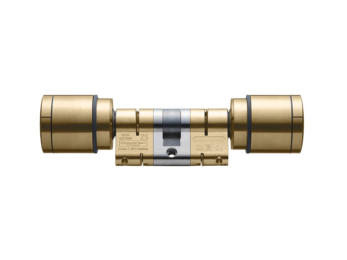 System 3060 | Digital Cylinder AX | Doppelknauf AX Freidrehend - Europrofil - Messing