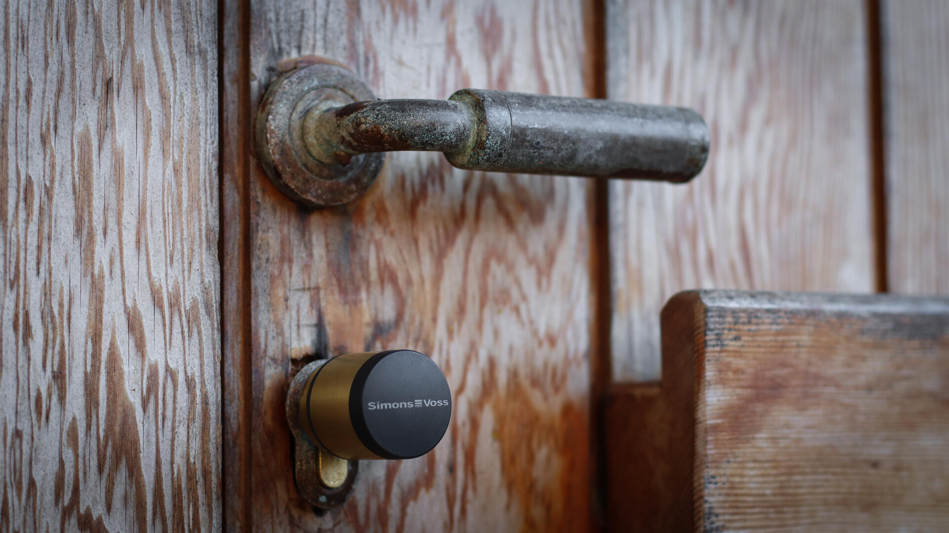 Controllo accessi wireless negli edifici pubblici storici: Parco San Rossore (dettaglio Villa del Gombo)